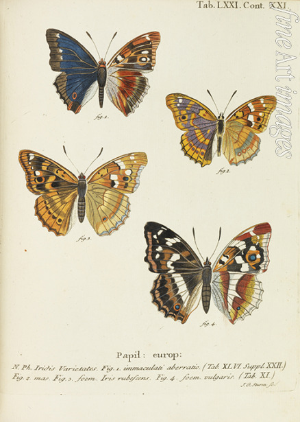 Esper Eugen Johann Christoph - Die Schmetterlinge (The butterflies)