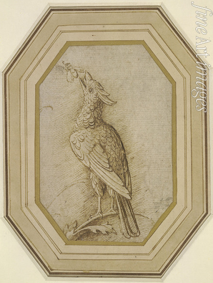 Mantegna Andrea - Vogel auf dem Ast