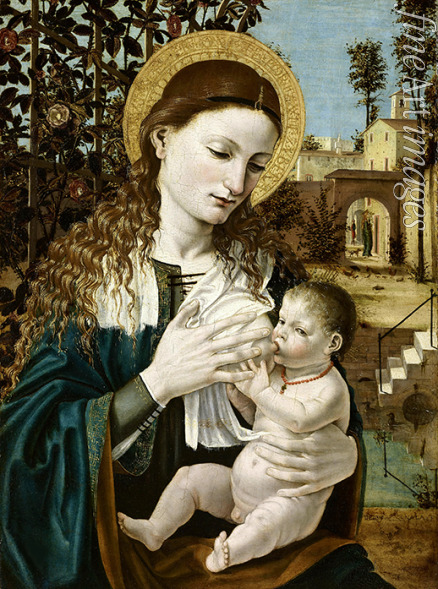 Bergognone Ambrogio - Madonna del latte