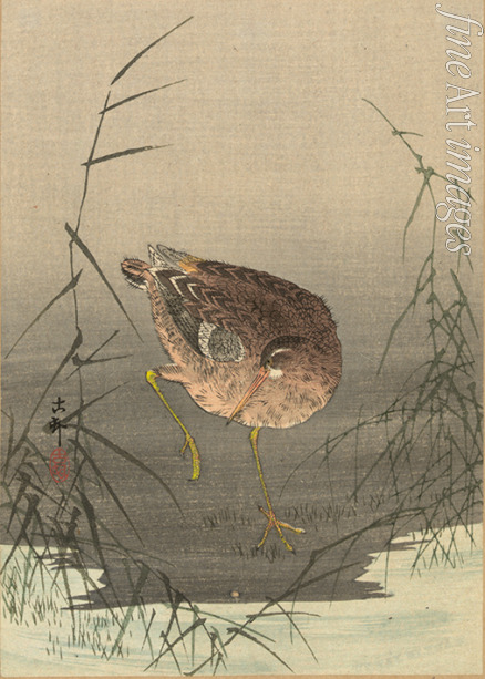 Ohara Koson - Schnepfe im Sumpf