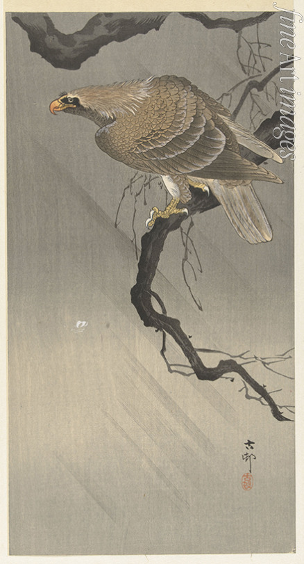 Ohara Koson - Eagle on branch