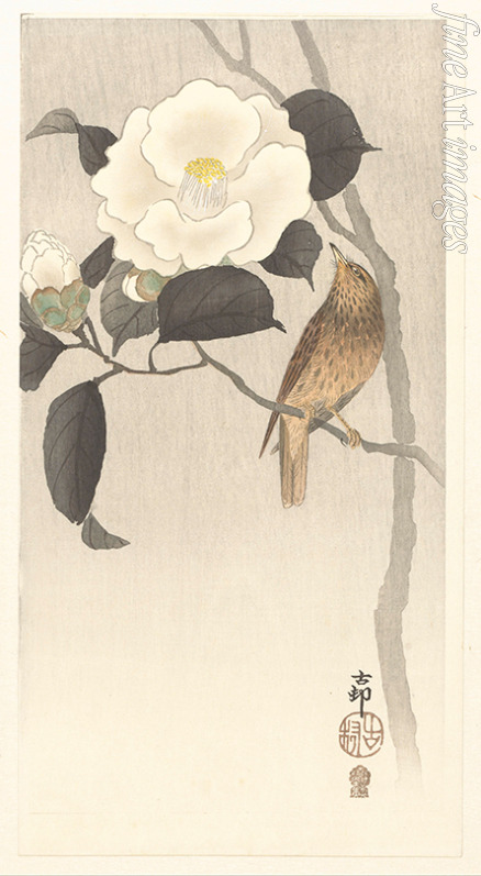 Ohara Koson - Songbird and blooming camellia