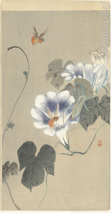 Ohara Koson - Insects in bindweed