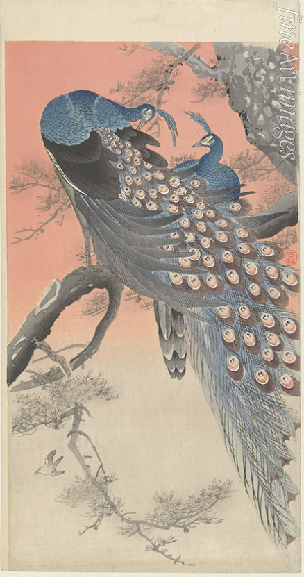 Ohara Koson - Two Peacocks on a Tree Branch