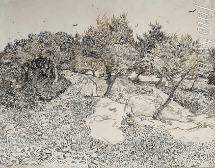 Gogh Vincent van - Oliviers à Montmajour