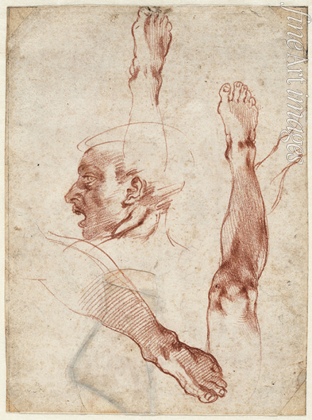 Buonarroti Michelangelo - Male head in profile, studies of limbs