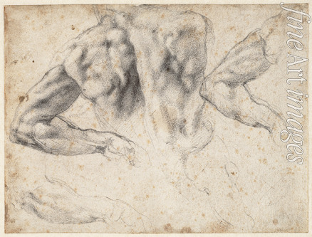 Buonarroti Michelangelo - Study of the back and left arm of a male nude