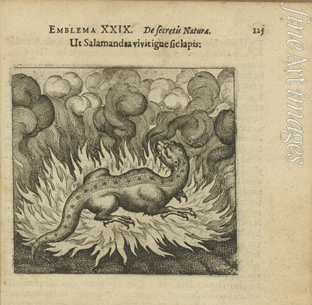 Merian Matthäus der Ältere - Emblem 29. Wie der Salamander lebt im Feuer, also auch der Stein. Aus 