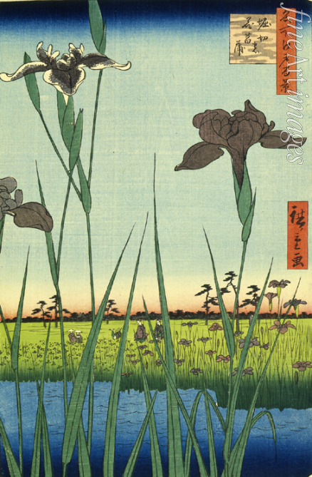 Hiroshige Utagawa - Schwertlilien in Horikiri (Einhundert Ansichten von Edo)