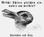 Unbekannter Künstler - Die Ente-Hase Illusion. Aus: Fliegende Blätter (Welche Thiere gleichen einander am meisten?)