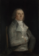 Goya, Francisco, de - Don Andrés del Peral