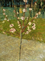 Gogh, Vincent, van - Blühender Mandelbaum