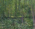 Gogh, Vincent, van - Bäume und Unterholz