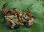 Gogh, Vincent, van - Krebs, auf dem Rücken liegend