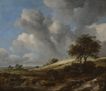 Ruisdael, Jacob Isaacksz, van - Kornfeld mit der Zuiderzee im Hintergrund