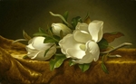 Heade, Martin Johnson - Magnolien auf goldenem Samt