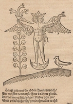 Unbekannter Künstler - Illustration für Rosarium philosophorum sive pretiosissimum donum Dei