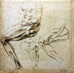 Buonarroti, Michelangelo - Beinstudien