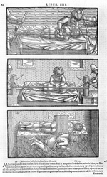 Unbekannter Künstler - Illustration aus Liber canonis de medicinis cordialibus von Avicenna