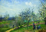 Pissarro, Camille - Blühender Obstgarten