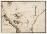 Bosch, Hieronymus - Eulennest