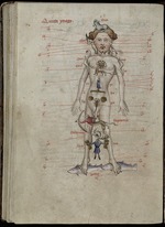 Foxton, John de - Tierkreismann mit Aderlasskalender. Aus Liber Cosmographiae