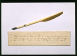 Historisches Objekt - Schreibfeder mit welchem Nikolai Gogol am zweiten Band der Toten Seelen arbeitete