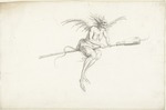 Saftleven, Cornelis Hermansz. - Monströse Hexe auf einem Besen