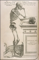 Calcar, Jan Stephan, van - Illustration aus De humani corporis fabrica von Andreas Vesalius