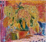 Bonnard, Pierre - Mimosenstrauss