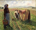 Pissarro, Camille - Die Erbsenernte, Eragny