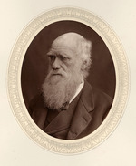 Fotoatelier Lock & Whitfield - Porträt von Charles Darwin (1809-1882)