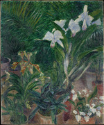 Caillebotte, Gustave - Orchidées dans la serre du Petit Gennevilliers