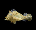 Orientalische angewandte Kunst - Fischförmiger Flakon aus geblasenem Glas  