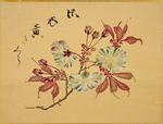 Sakamoto, Konen - Aus dem Sakura-Skizzenbuch (Kirschblüten)