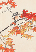 Keinen, Imao - Blumen und Vögel der Vier Jahreszeiten (Keinen Kacho Gafu)