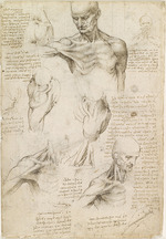 Leonardo da Vinci - Darstellung der oberflächlichen Anatomie der Schulter und des Nackens