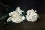 Manet, Édouard - Branche de pivoines blanches et sécateur