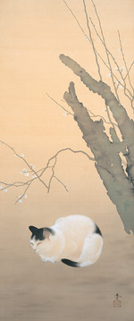 Shunso, Hishida - Katze und Pflaumenblüte