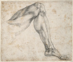 Buonarroti, Michelangelo - Studie eines Beins