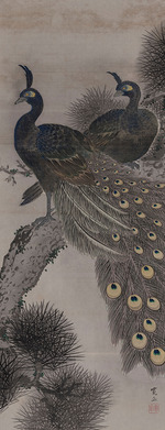 Kanpo, Araki - Pfauenpaar auf einer Kiefer