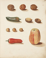 Fosie, Johanna Marie - Studie von Apfel, Nüssen und Paprika
