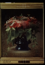 Kramskoi, Ivan Nikolayevich - Bunch of flowers. Phloxes