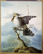 Os, Georgius Jacobus Johannes, van - A little bird