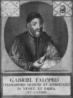Anonymous - Portrait of Gabriele Falloppio (1523-1562)