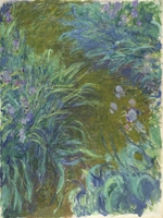 Monet, Claude - Irises