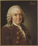 Roslin, Alexander - Portrait of Carl Linnaeus (1707-1778)