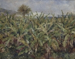 Renoir, Pierre Auguste - Field of Banana Trees (Champ de bananiers)