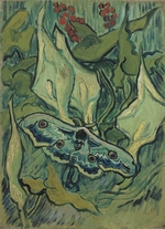 Gogh, Vincent, van - Green Peacock Moth (The Emperor Moth)