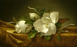 Heade, Martin Johnson - Magnolias on Gold Velvet Cloth